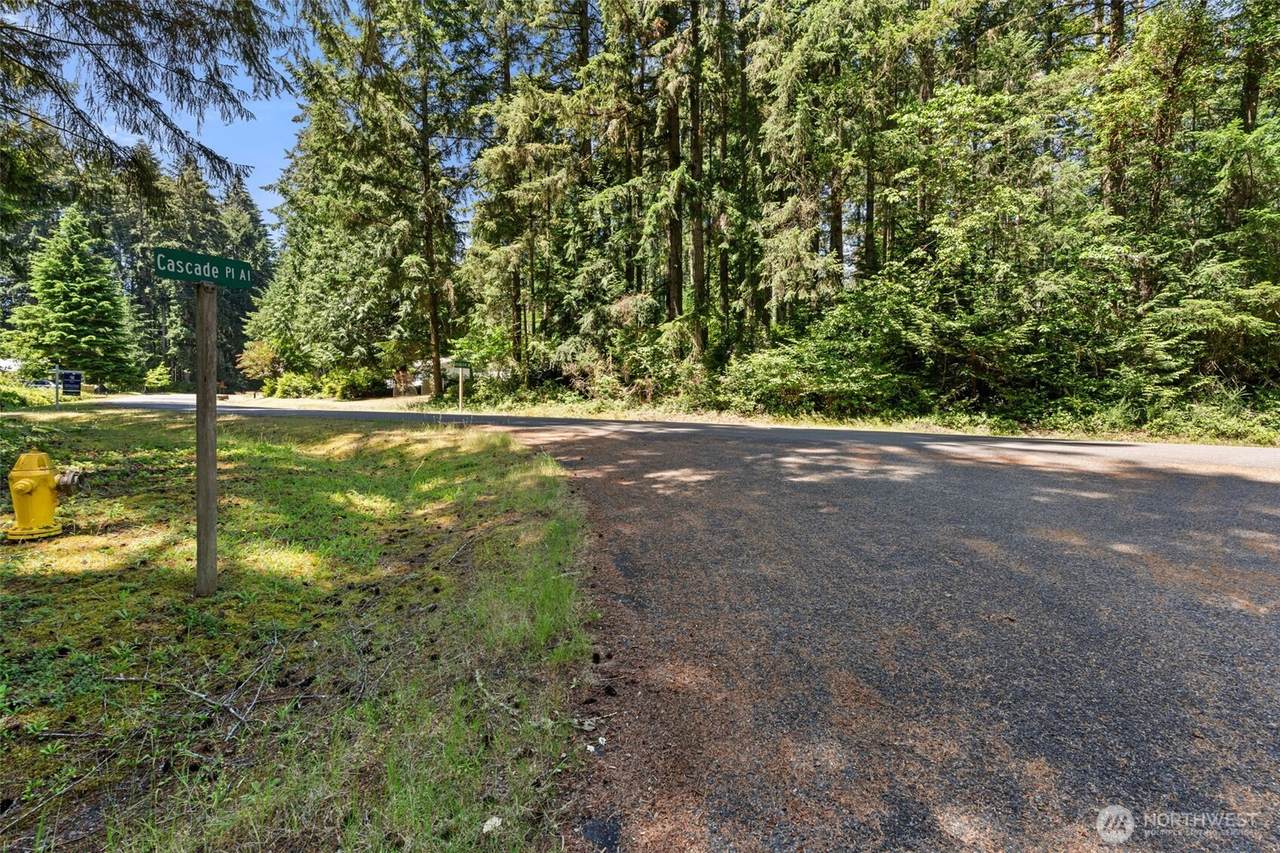 11103 Leschi Circle - Photo 1