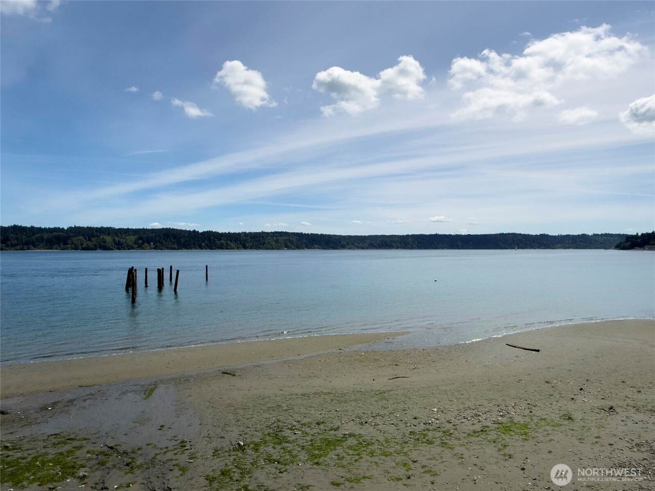 1230 Maplewood Beach Drive - Photo 1