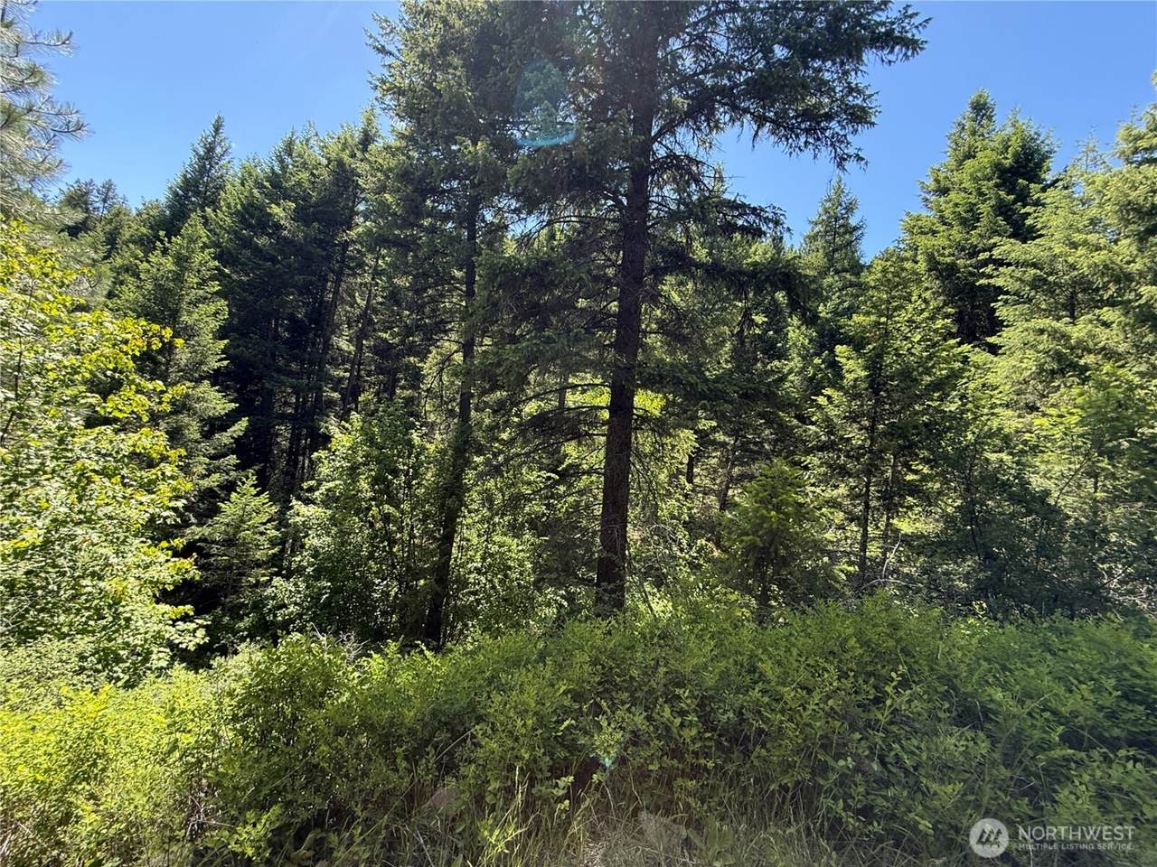 0 TBD Toroda Creek Road - Photo 1