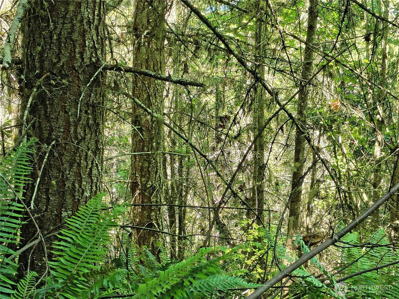 https://bt-photos.global.ssl.fastly.net/nwmls/1280_boomver_1_2544678-1.jpg