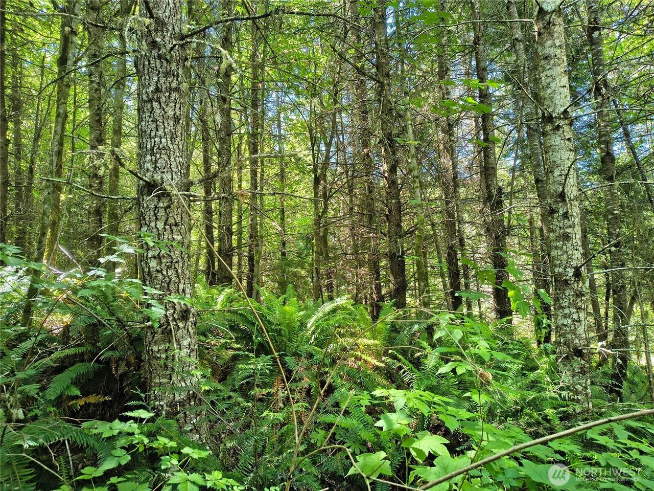 https://bt-photos.global.ssl.fastly.net/nwmls/1280_boomver_1_2544678-1.jpg