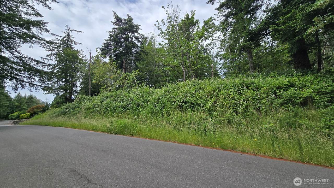 27339 403rd (Lots 39,47,48,49) Street - Photo 1