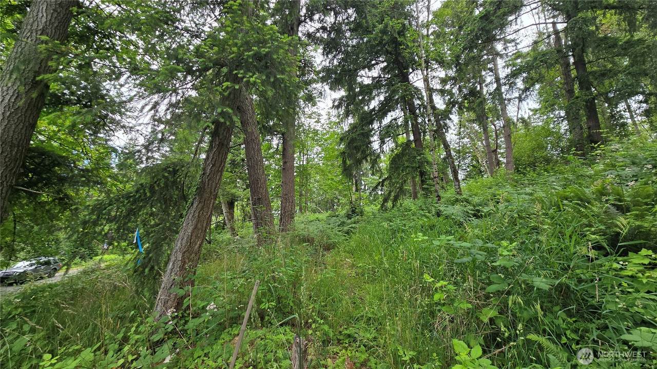 https://bt-photos.global.ssl.fastly.net/nwmls/1280_boomver_1_2544770-1.jpg