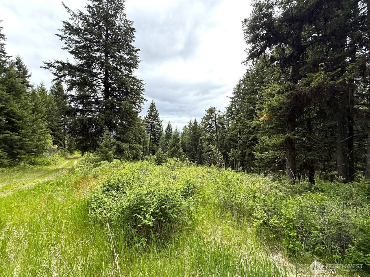 0 Pontiac Ridge Road - Photo 1