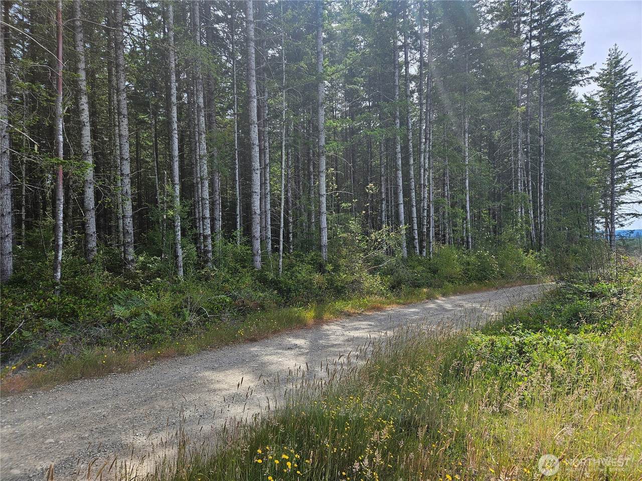 0 NKA L Lee Valley Road - Photo 1