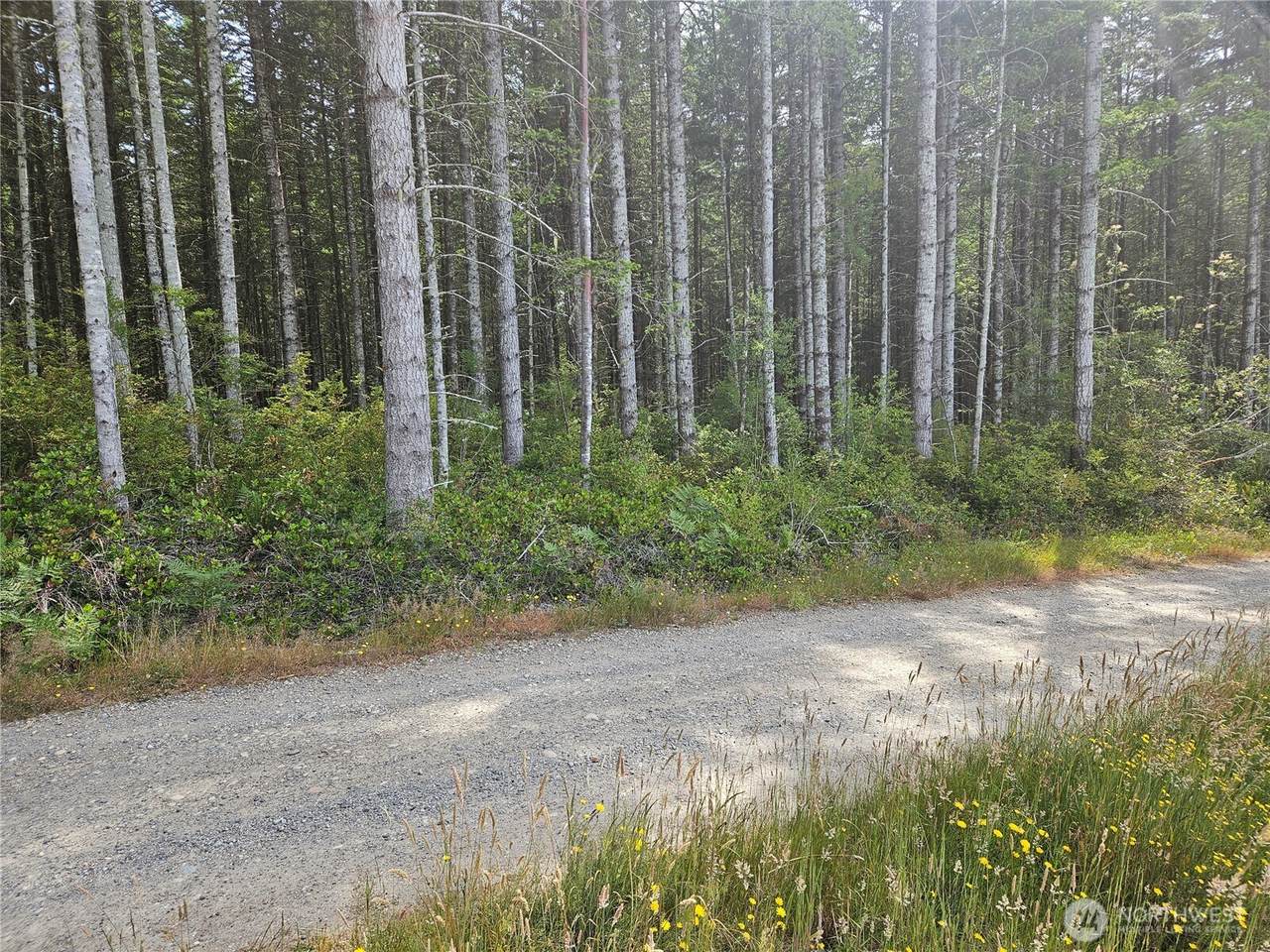 https://bt-photos.global.ssl.fastly.net/nwmls/1280_boomver_1_2545125-1.jpg