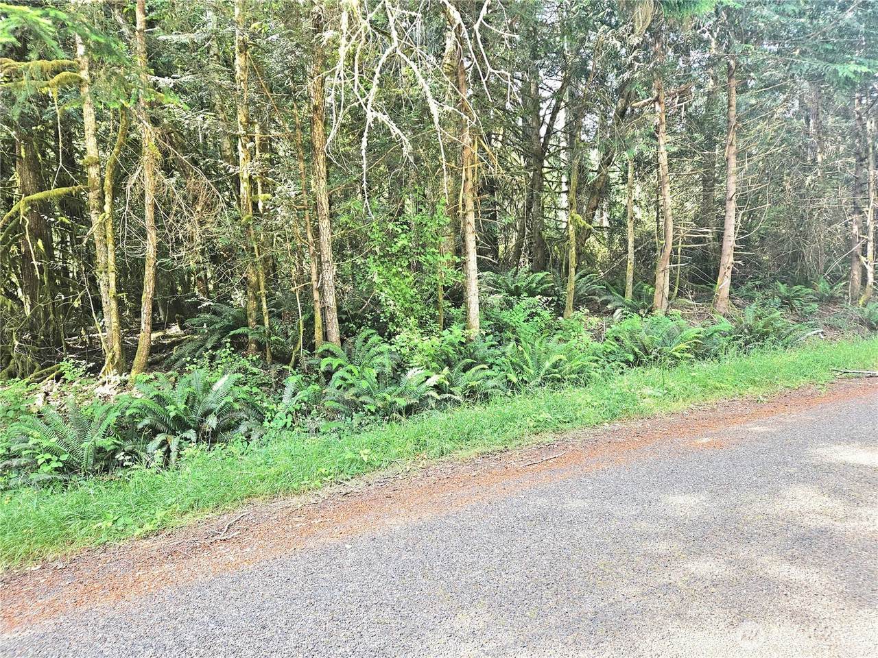 124 Go Onna Drive - Photo 1