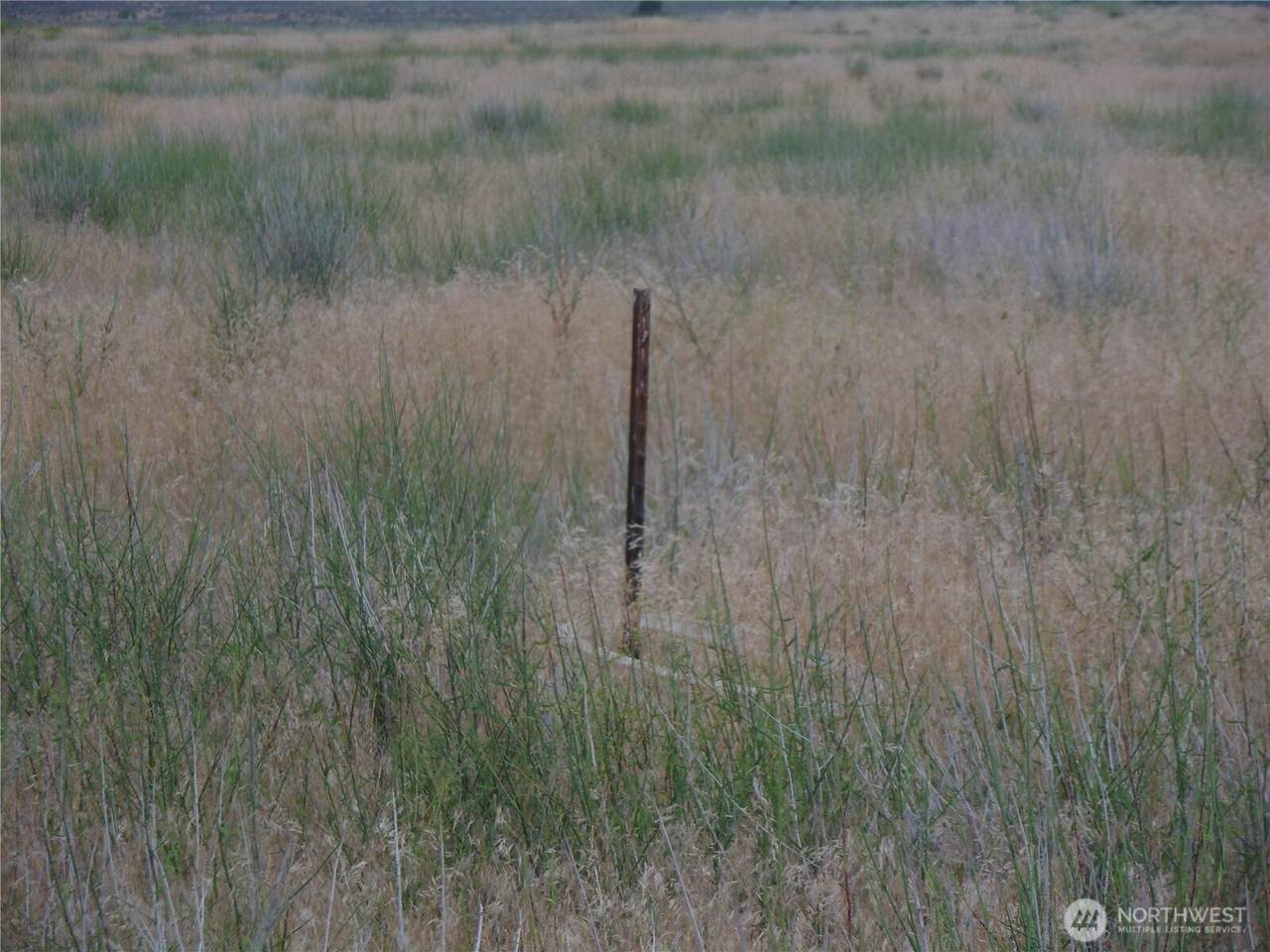 0 Eastlake Road - Photo 1