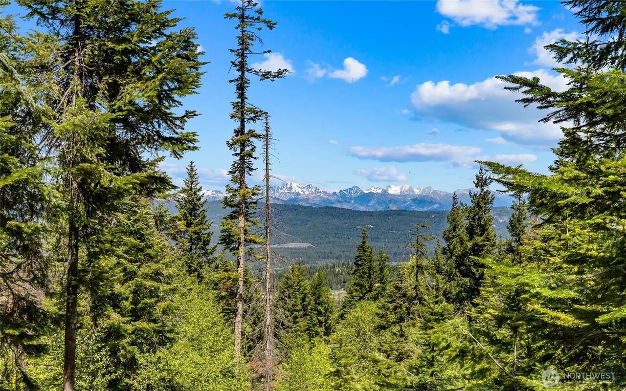 2000 Rocky Mountain Way - Photo 1