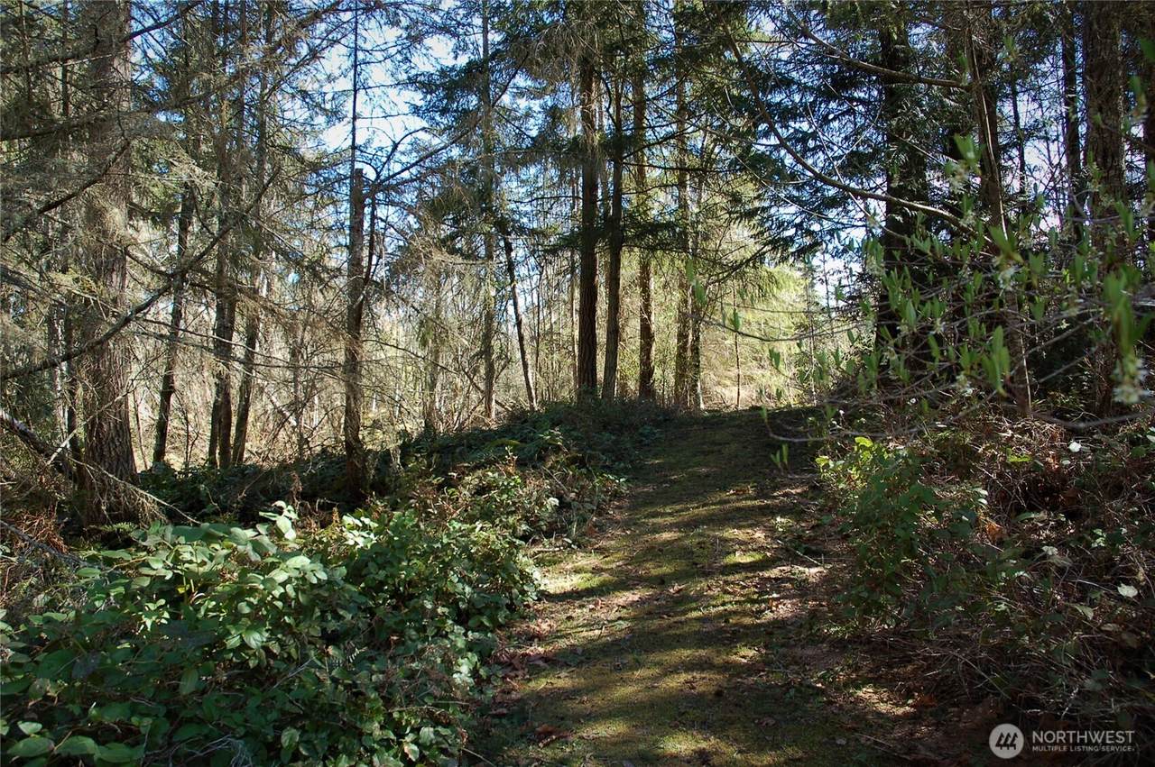 999 Bagley Creek Road - Photo 1