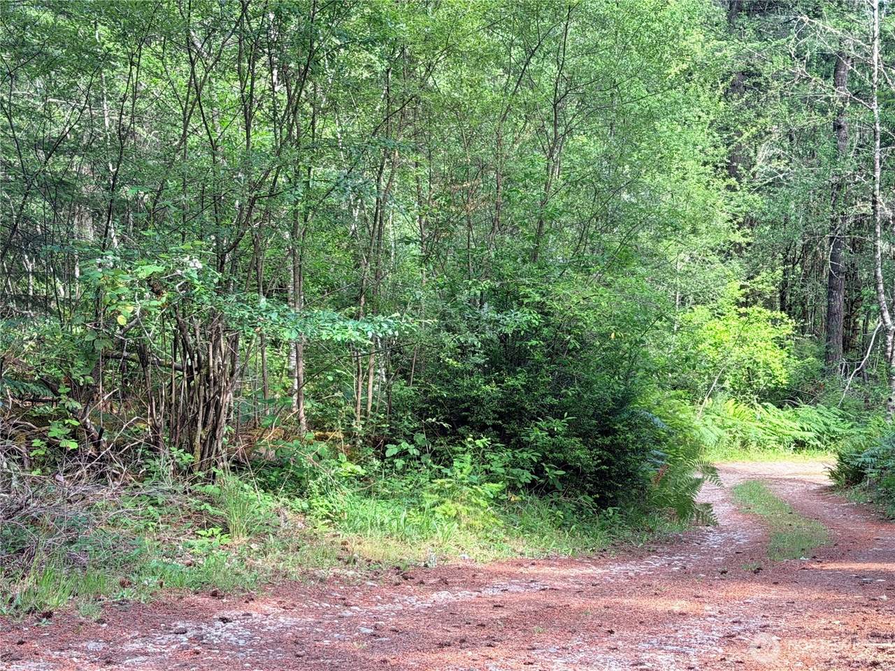 https://bt-photos.global.ssl.fastly.net/nwmls/1280_boomver_1_2546637-1.jpg