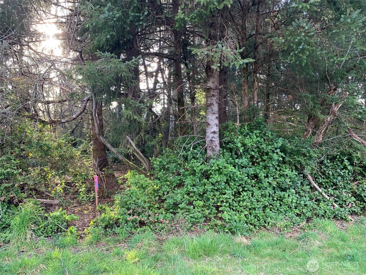 https://bt-photos.global.ssl.fastly.net/nwmls/1280_boomver_1_2546744-1.jpg