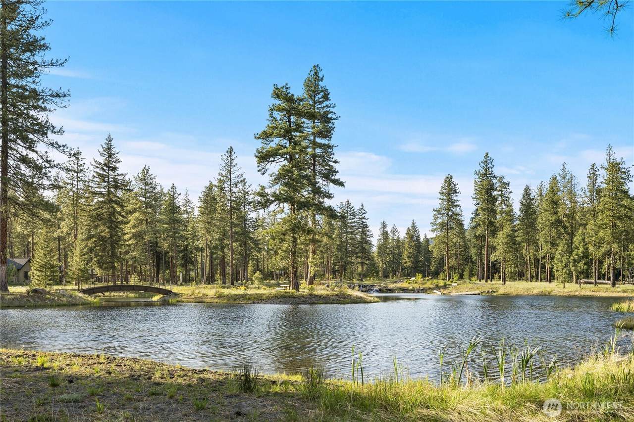 106 Wanawish Loop - Photo 1