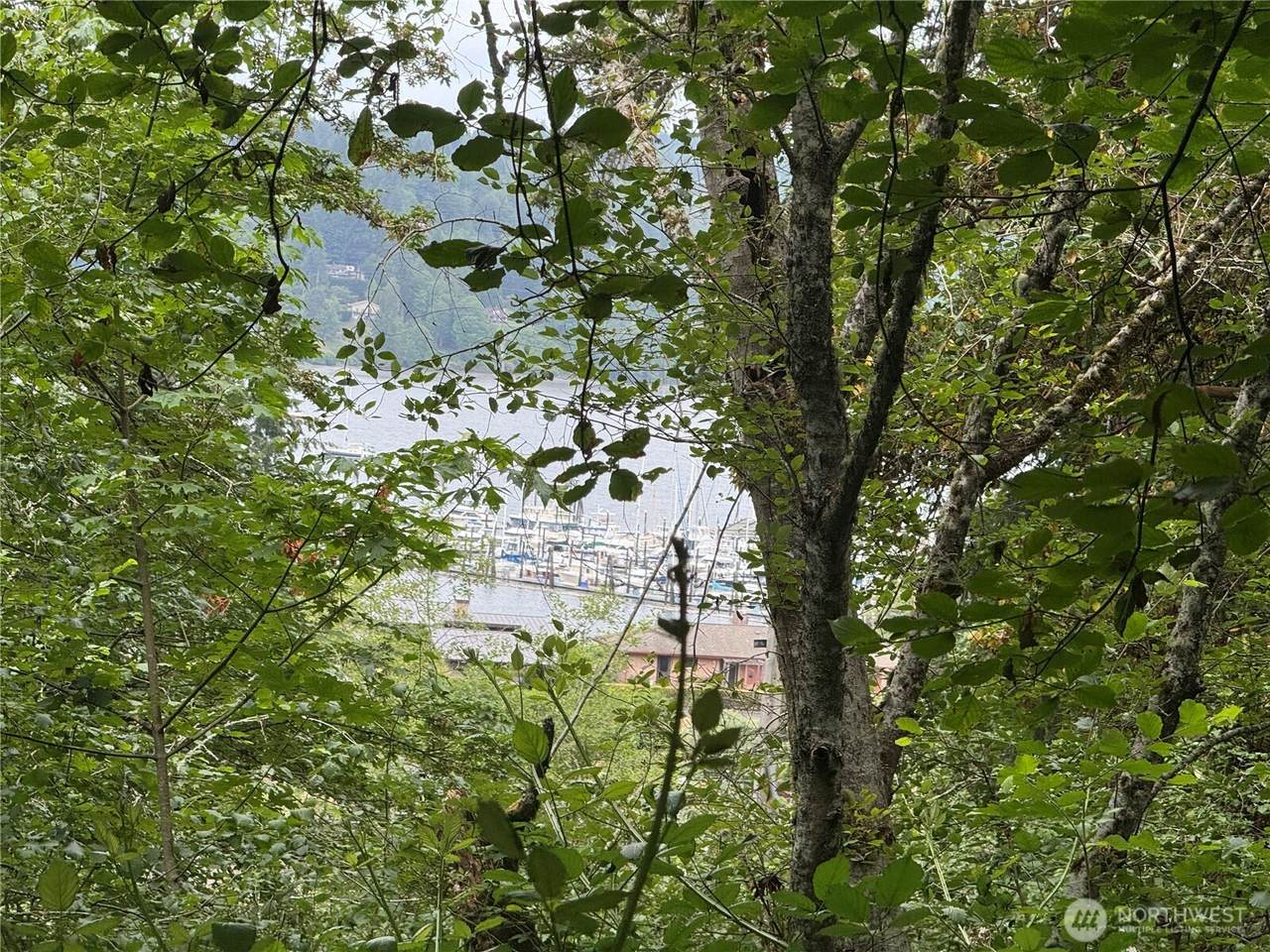 1234 11th Avenue - Photo 1