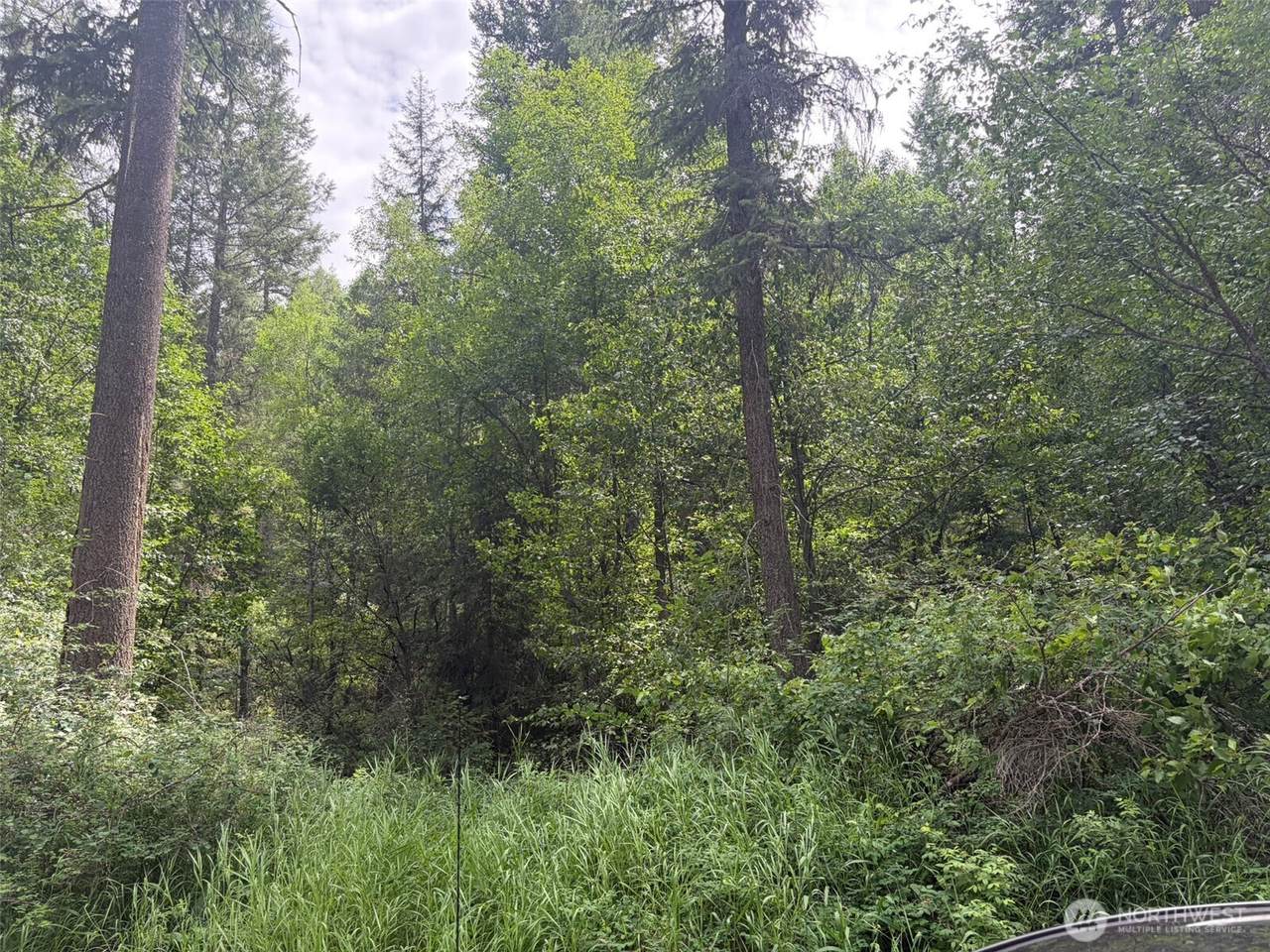 111 TBD Lambert Creek Road - Photo 1