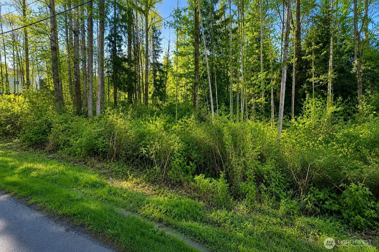 11507 Manor Way - Photo 1