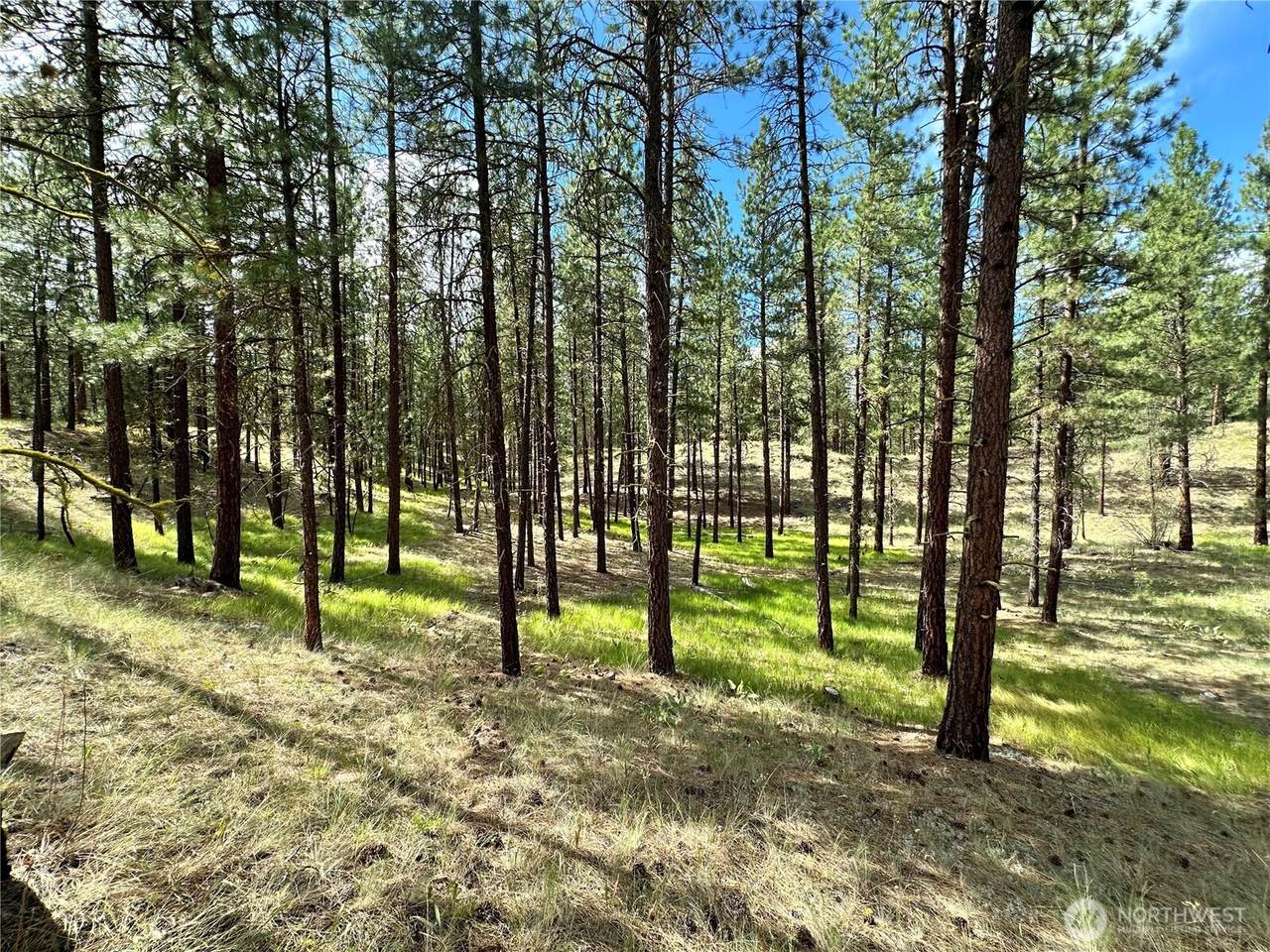 67 Larkspur Drive - Photo 1