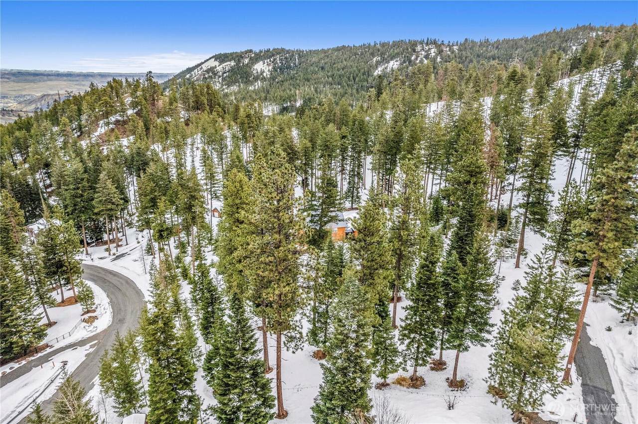 6757 Forest Ridge Drive - Photo 1