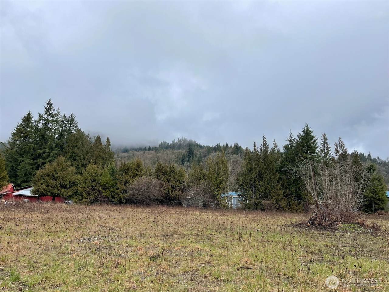 45075 Cedar Street - Photo 1