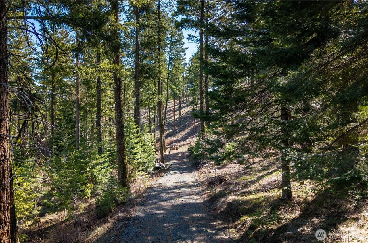 6761 Forest Ridge Drive - Photo 1