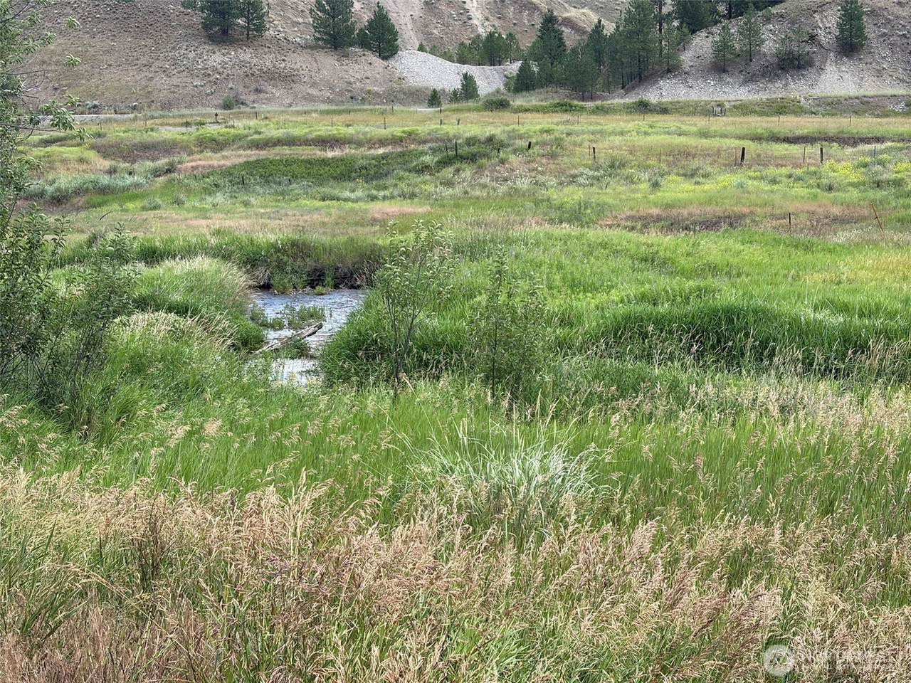 1 TBD Lundimo Meadows Tract 1 - Photo 1
