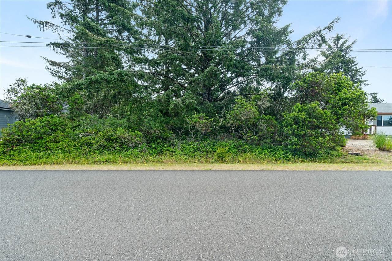 233 Razor Clam Drive - Photo 1