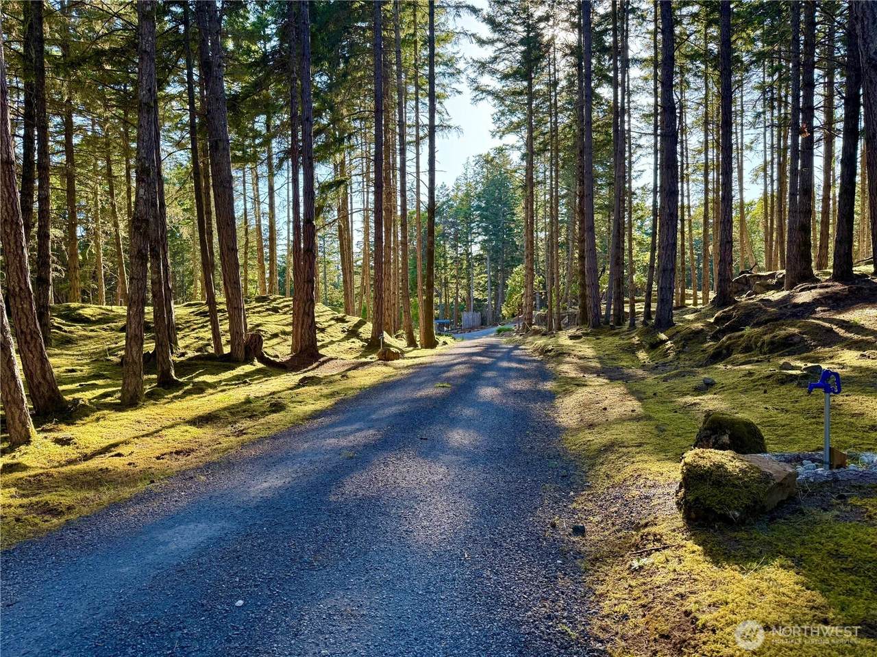 0 Kiya Way - Photo 1