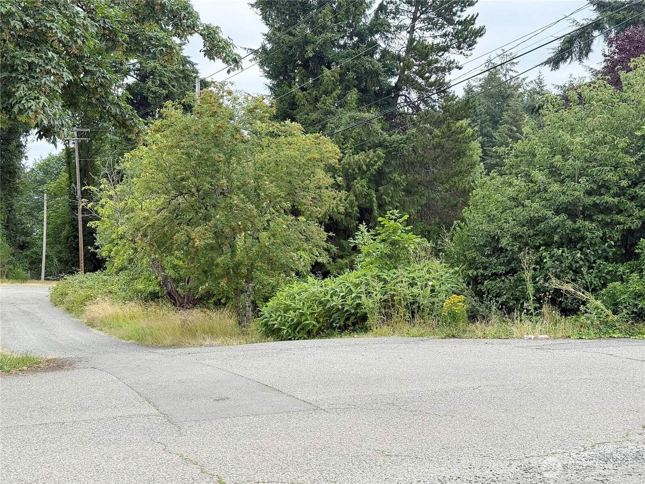 2 Xx Euclid Avenue - Photo 1
