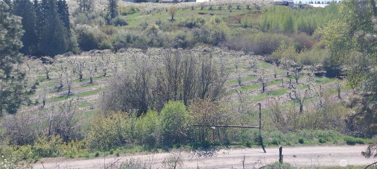 8010 Green Rd - Photo 1