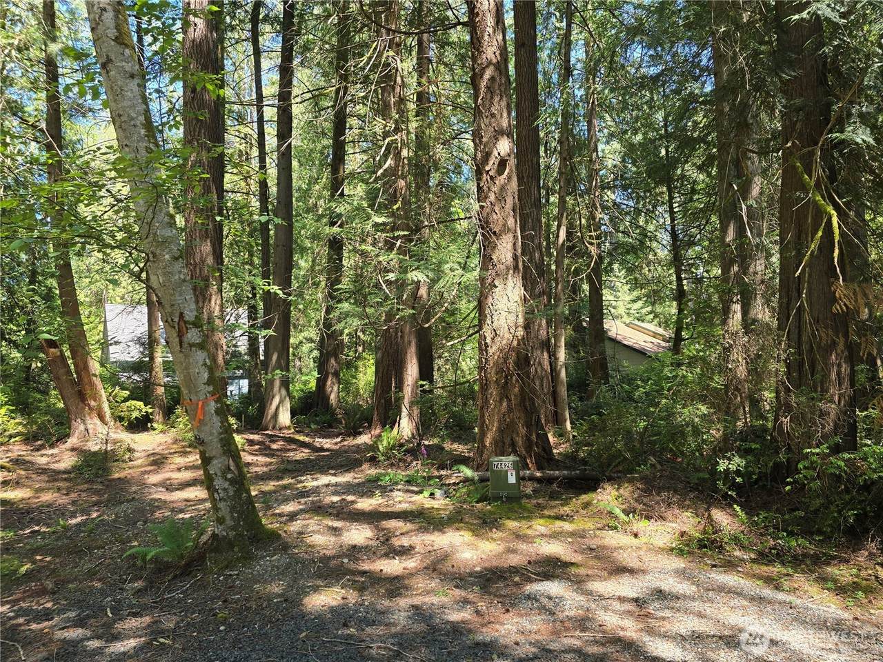 133 Barnacle Boulevard - Photo 1