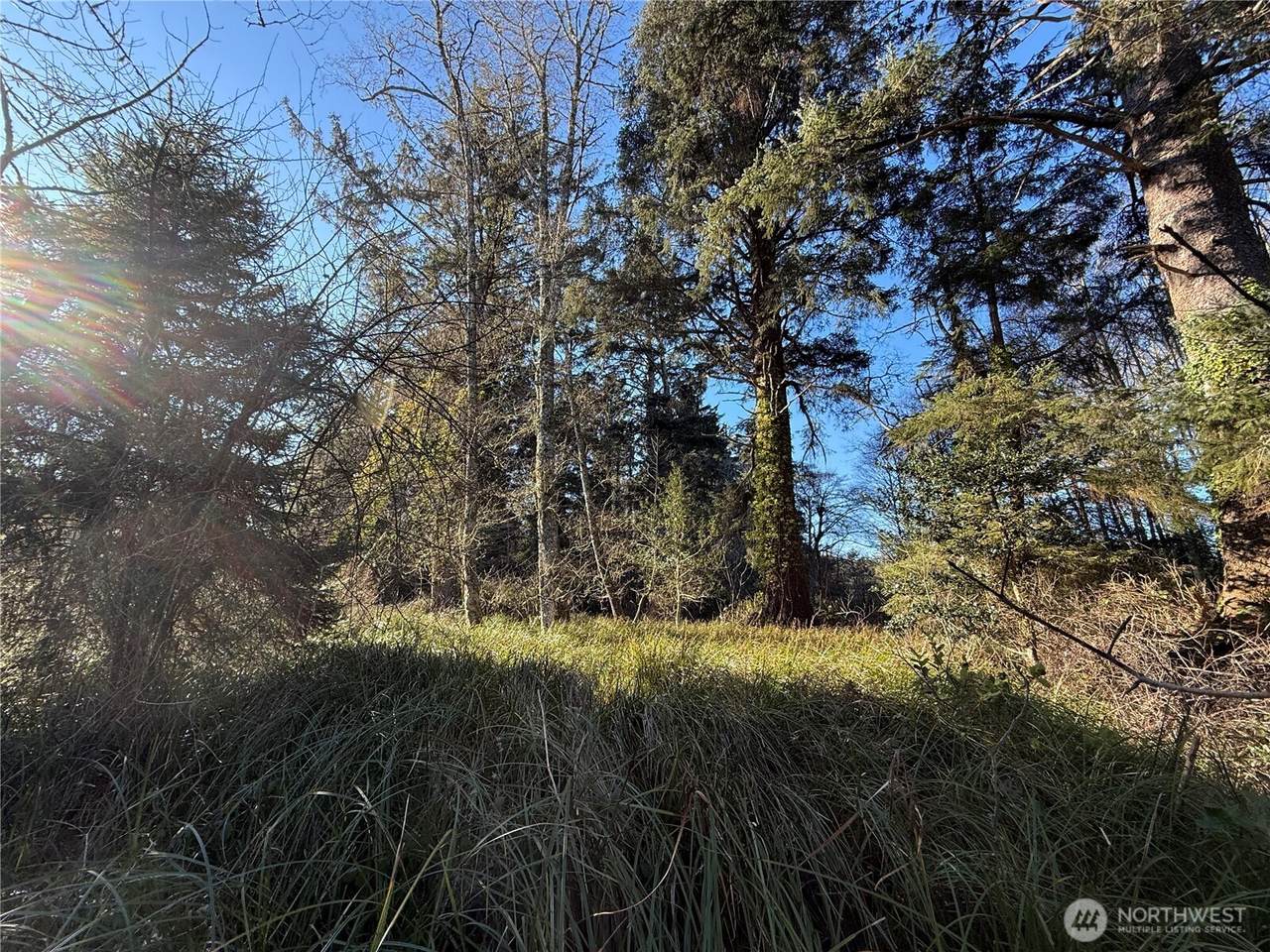 27399 Sandridge Road - Photo 1