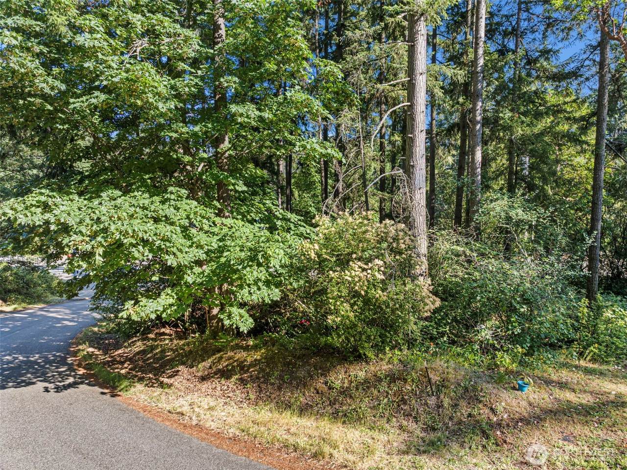 4618 Timber Lane - Photo 1