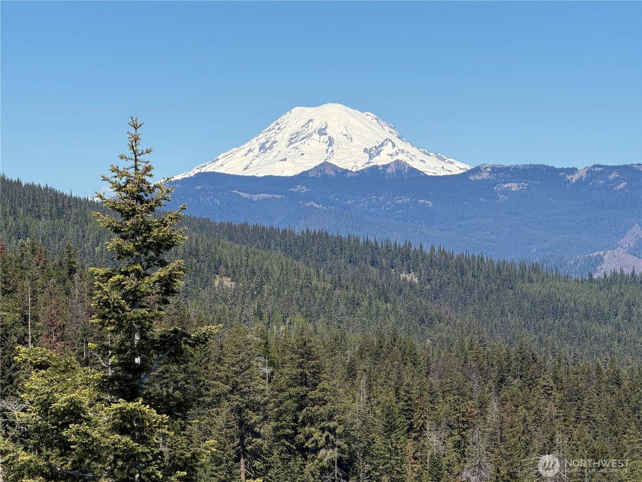 1524 Nasty Creek Road - Photo 1