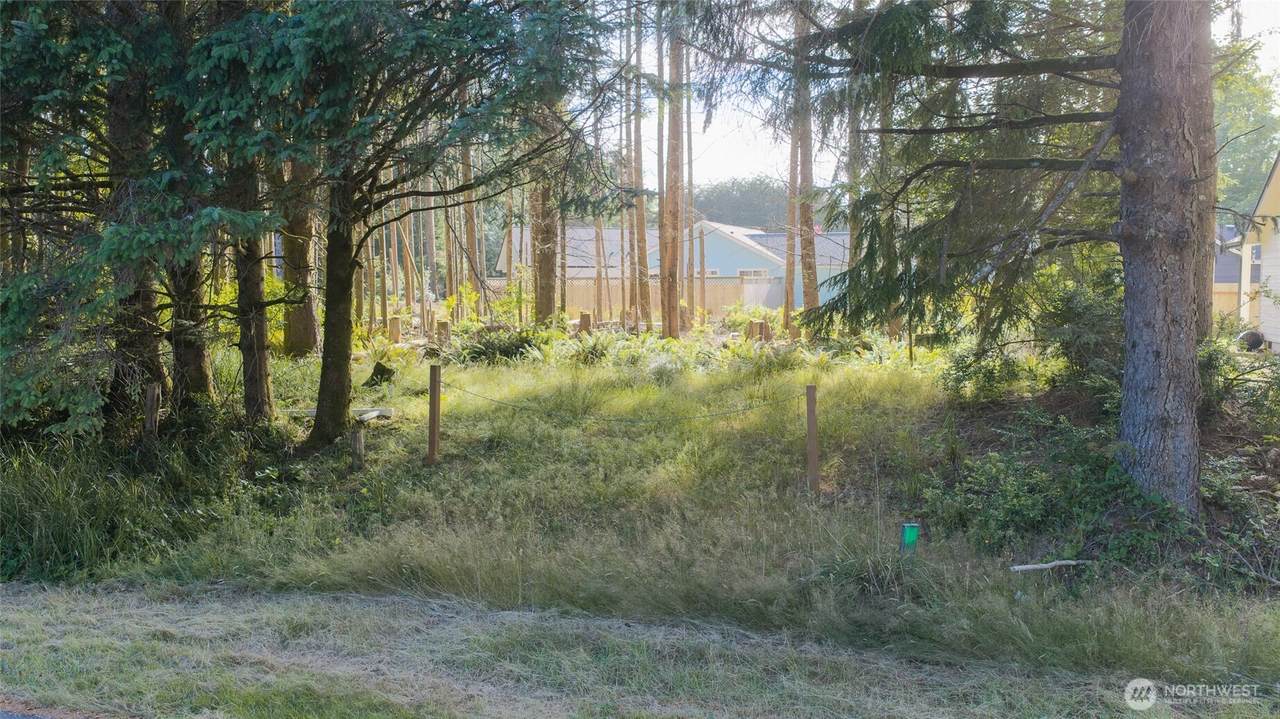 119 Olympic View Avenue - Photo 1
