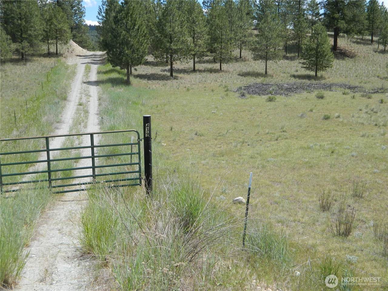 439 Aeneas Valley Road - Photo 1