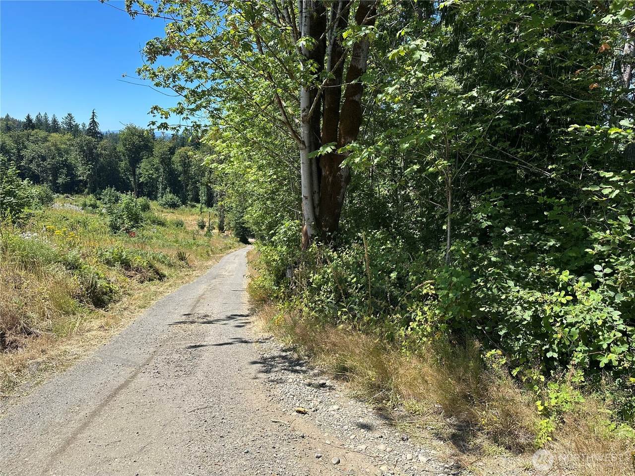 0 XXX Hippie Hill Road - Photo 1