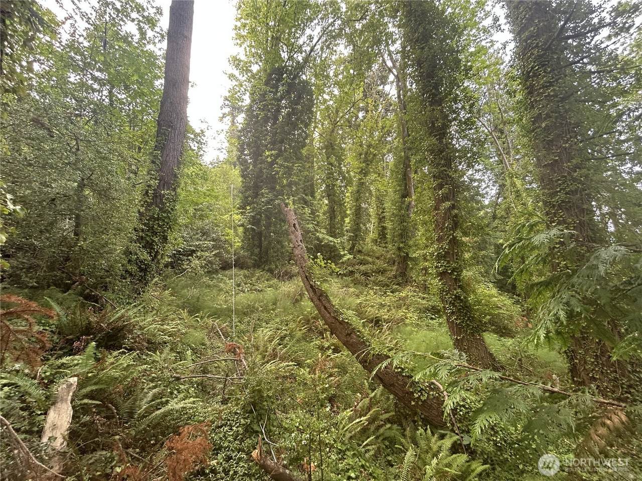 1 Goat Trail Rd - Photo 1