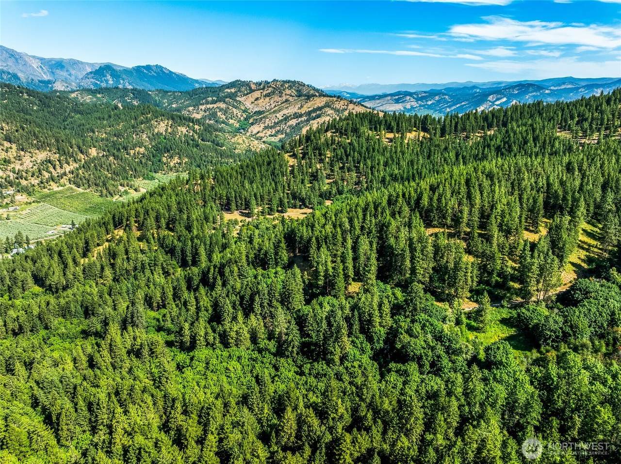 6211 Us-97 Highway - Photo 1