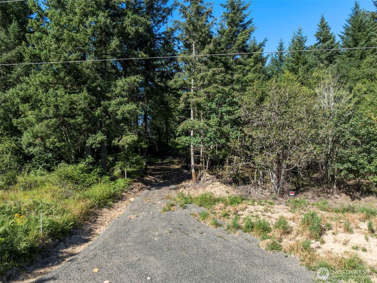 541 Centralia Alpha Road - Photo 1