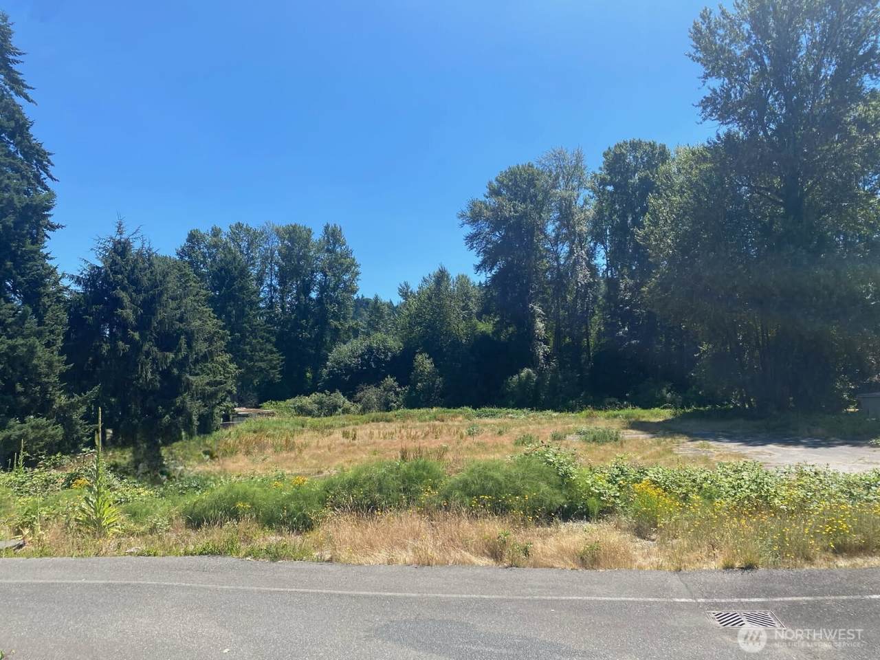 10235 Woodinville Drive - Photo 1