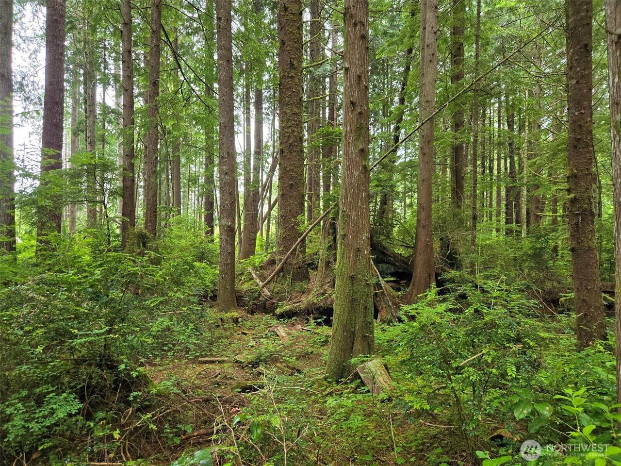 https://bt-photos.global.ssl.fastly.net/nwmls/1280_boomver_1_2555220-1.jpg