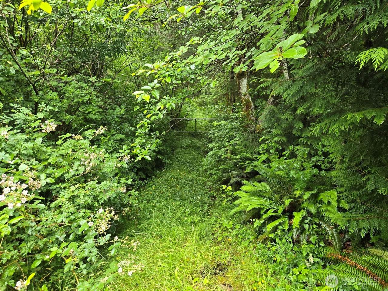 https://bt-photos.global.ssl.fastly.net/nwmls/1280_boomver_1_2555220-1.jpg