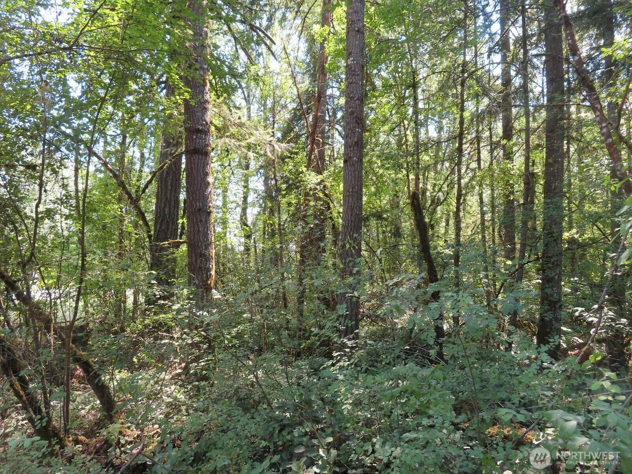 115 Campground Lane - Photo 1