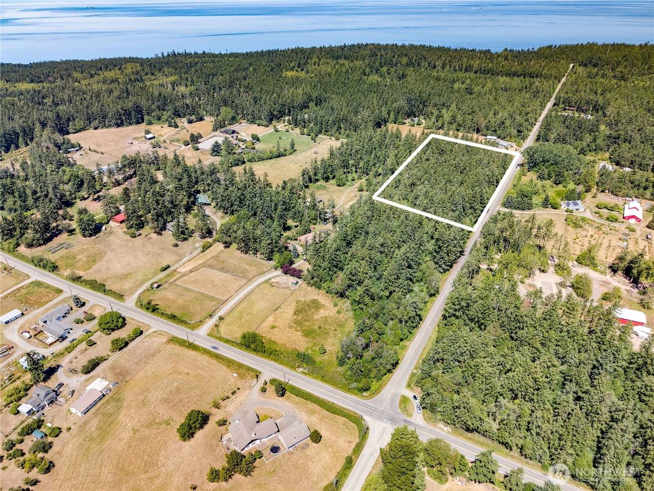 301 Jacob Miller Road - Photo 1