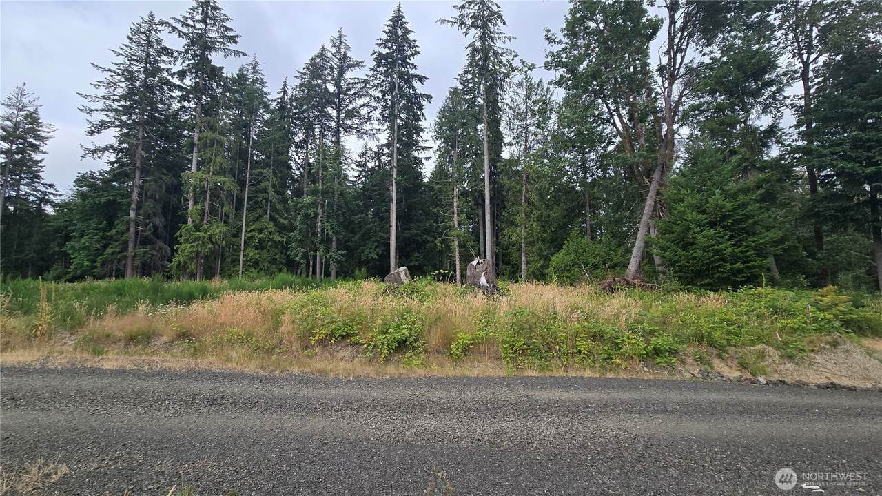26 xx Oregon (Lot C Of Short Plat) Avenue - Photo 1