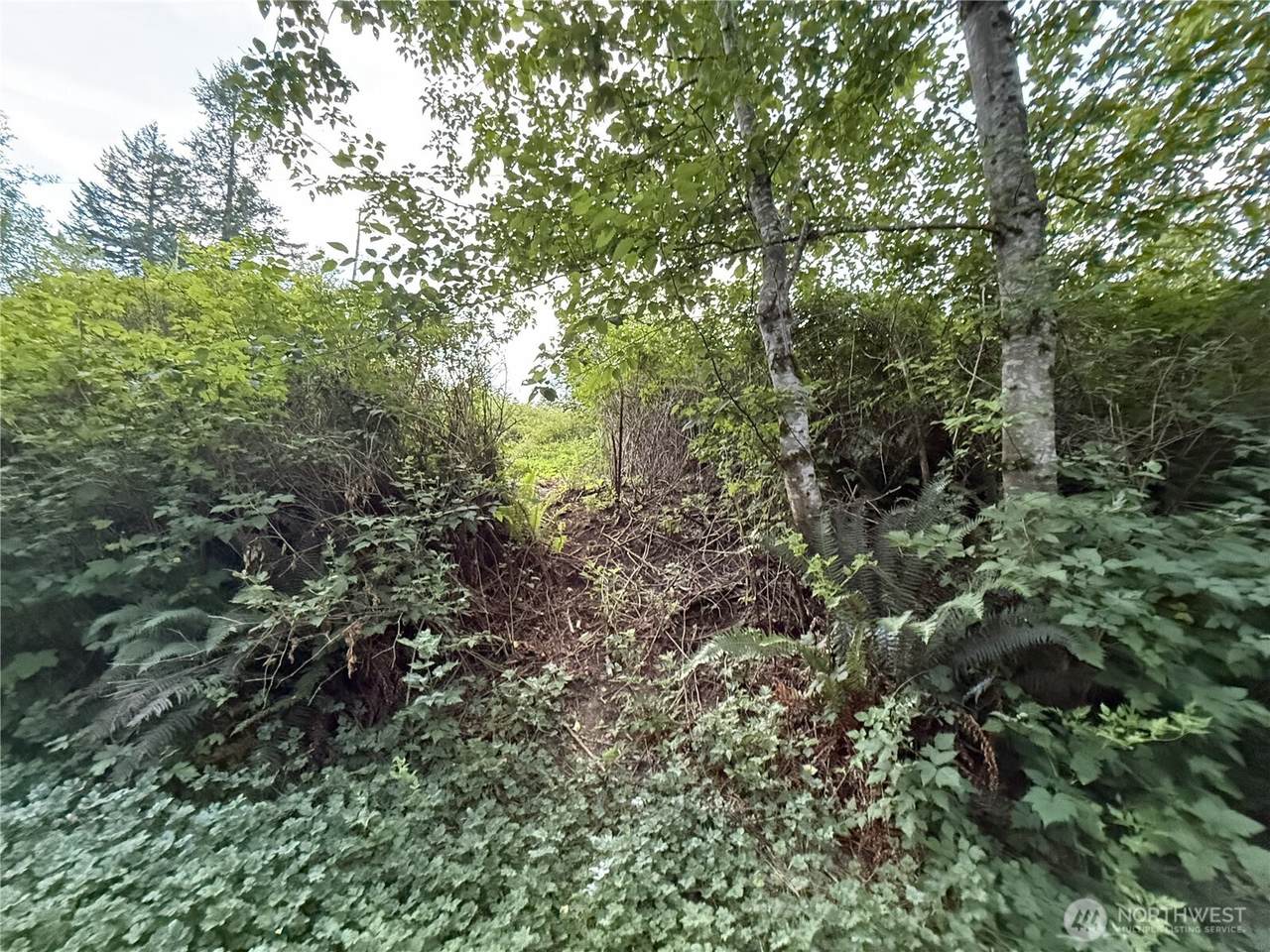 2 Bumgarner Road - Photo 1