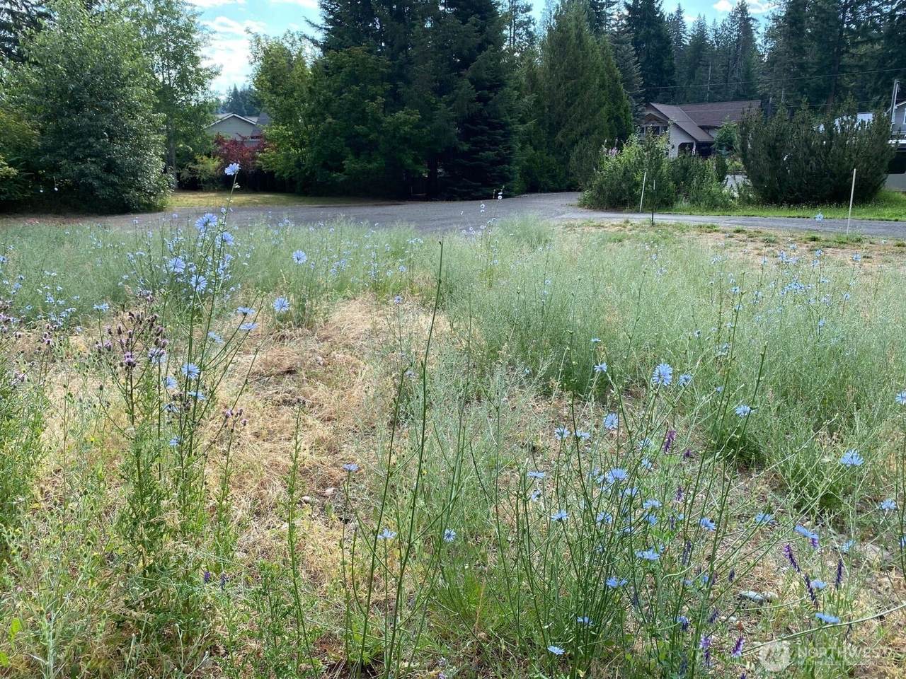 7 lot Kuhuku Court - Photo 1