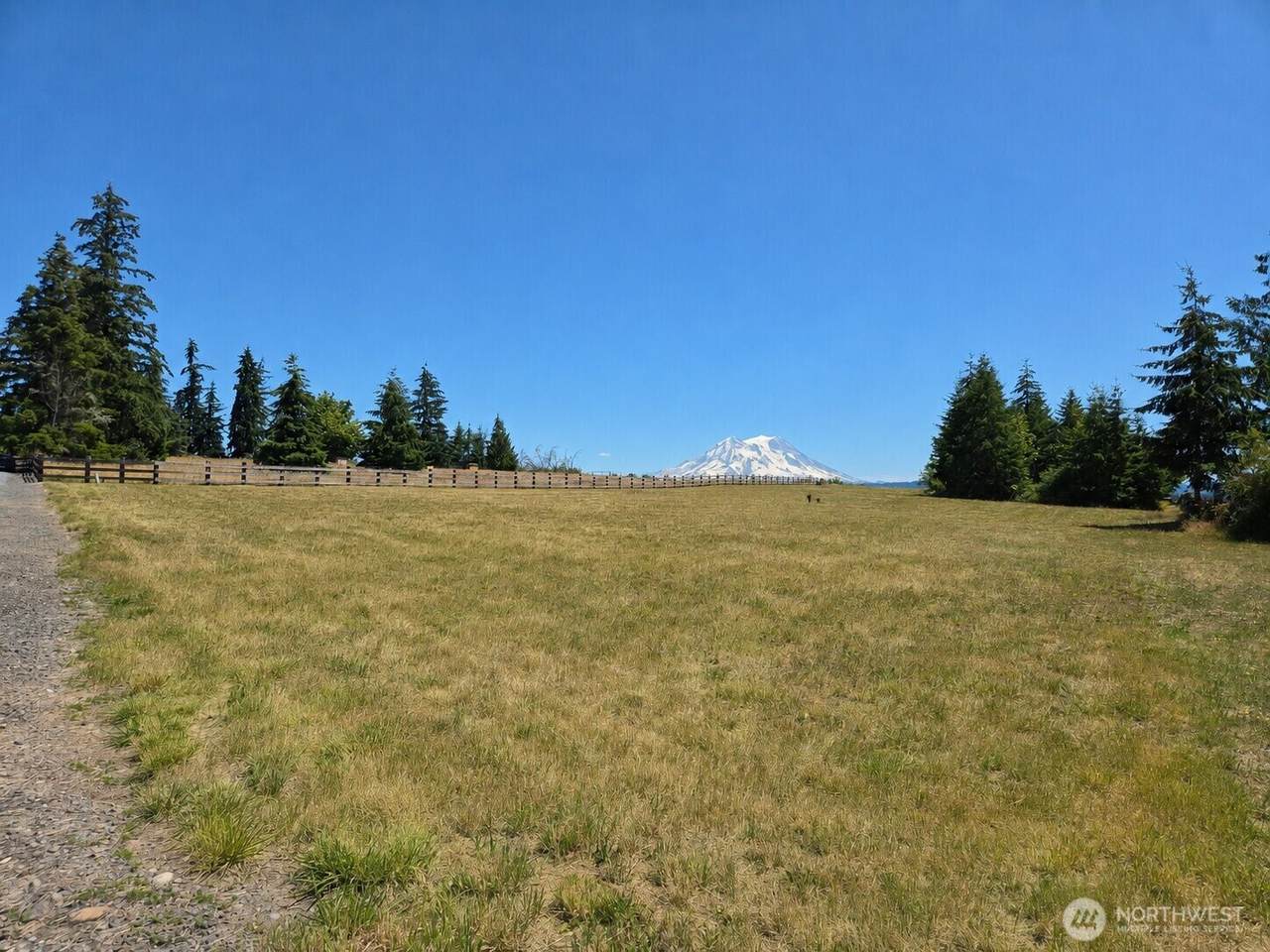 44411 14th Avenue - Photo 1