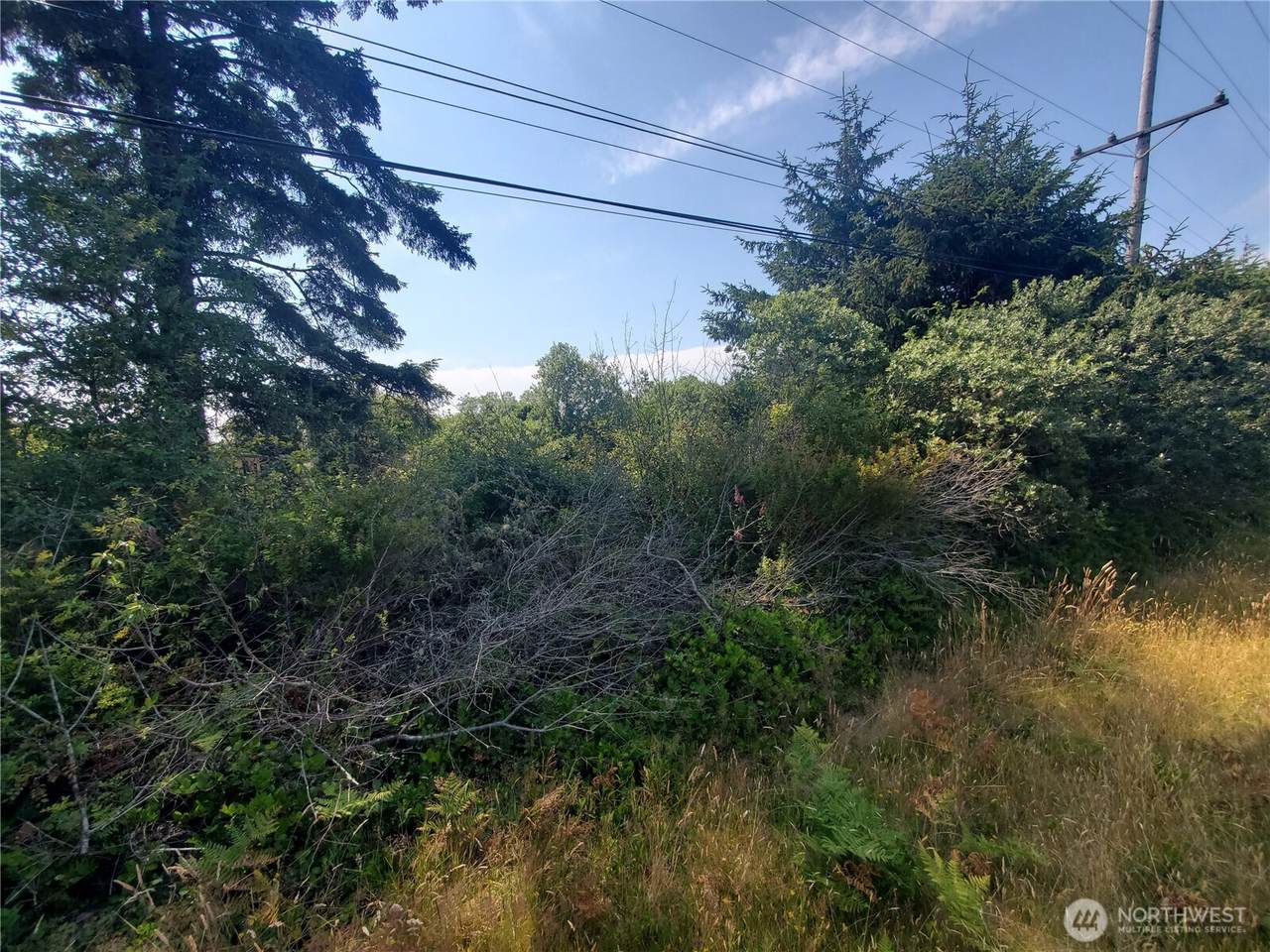 561 Dolphin Avenue - Photo 1