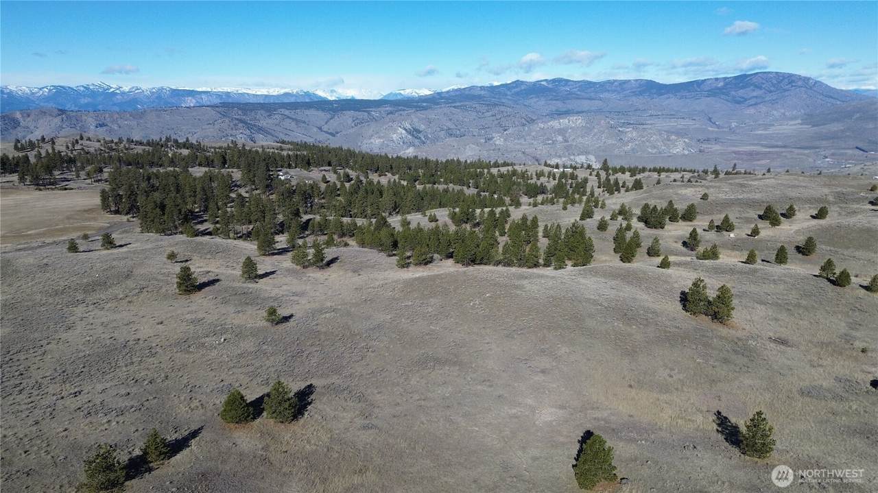 0 Columbia River Bluffs Road - Photo 1